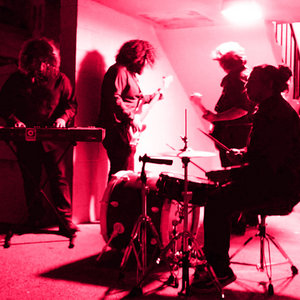 Valley Wolf at Starlet Room